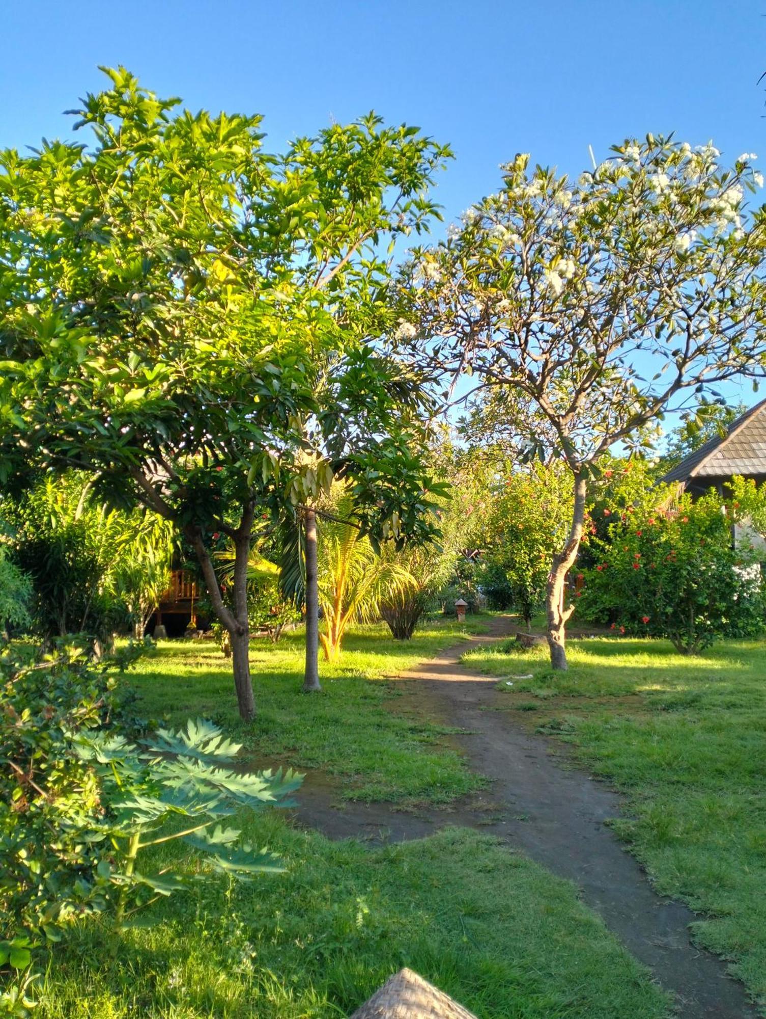 Tangga Bungalows Gili Air Rum bild