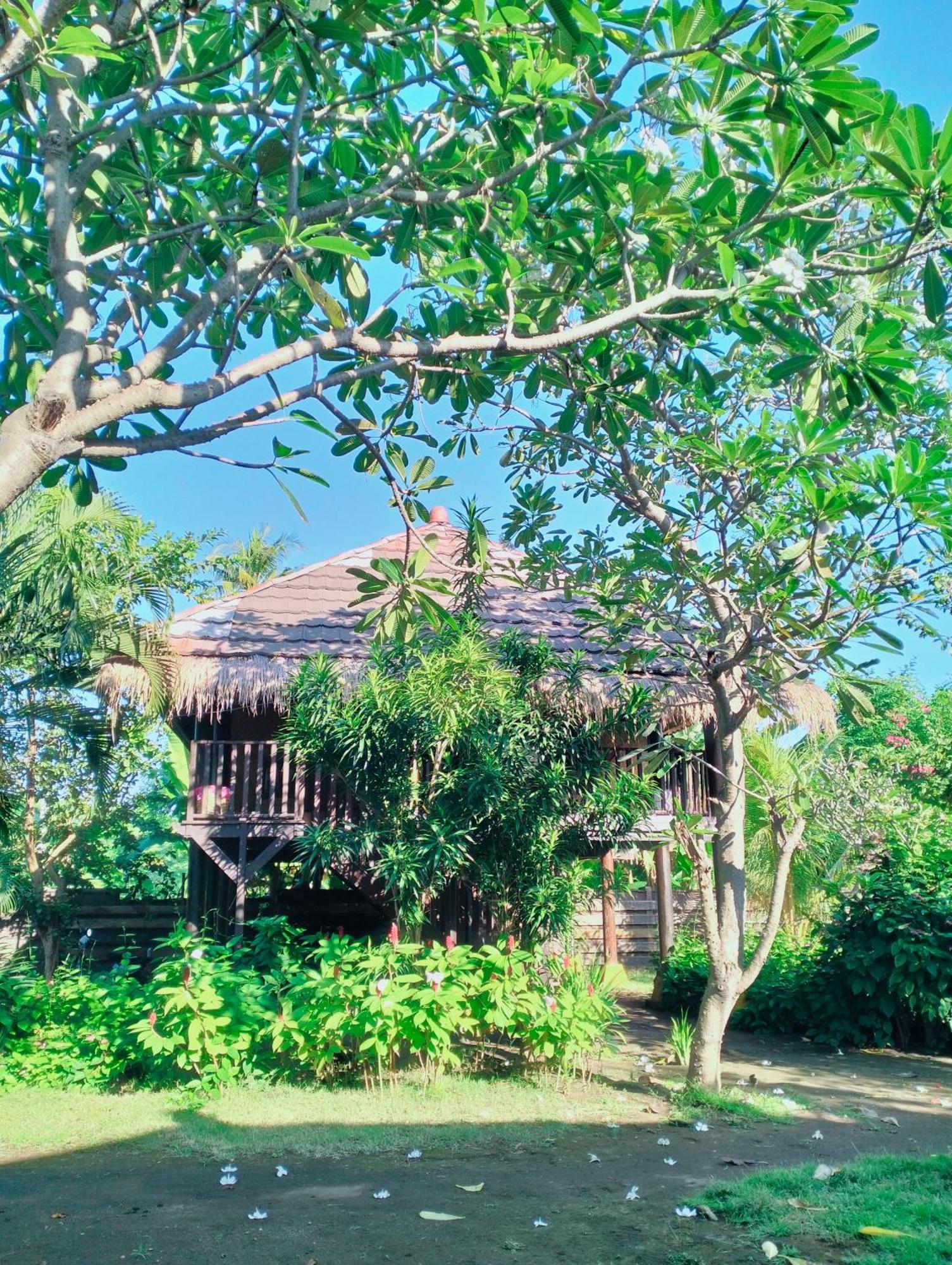 Tangga Bungalows Gili Air Rum bild