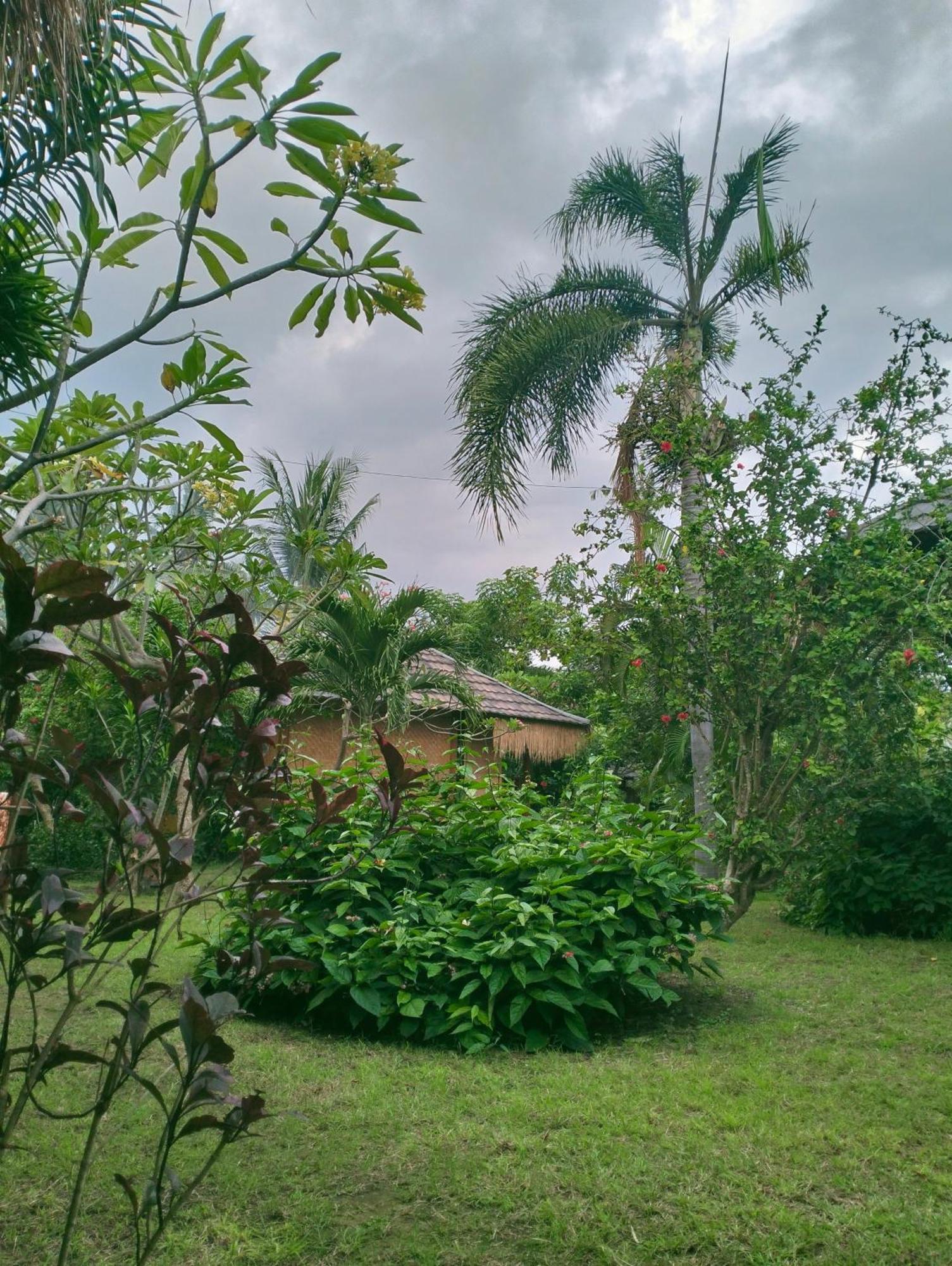 Tangga Bungalows Gili Air Rum bild